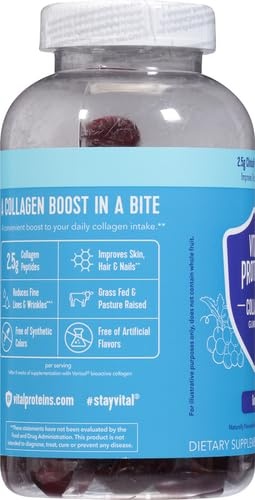 image:imageVital Proteins Collagen Gummies 25g of ClinicallyTested Collagen for Hair Skin Nails amp Wrinkles 120 ct 30Day Supply Grape FlavorGrape